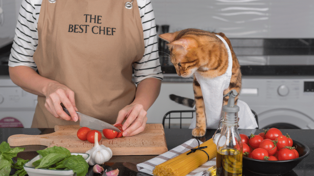Alimentação Caseira para Pets: Como Fazer de Forma Saudável e Segura | Direcionar Dicas Alimentação Caseira para Pets: Como Fazer de Forma Saudável e Segura | Dicas de bem-estar para pets – Direcionar Dicas