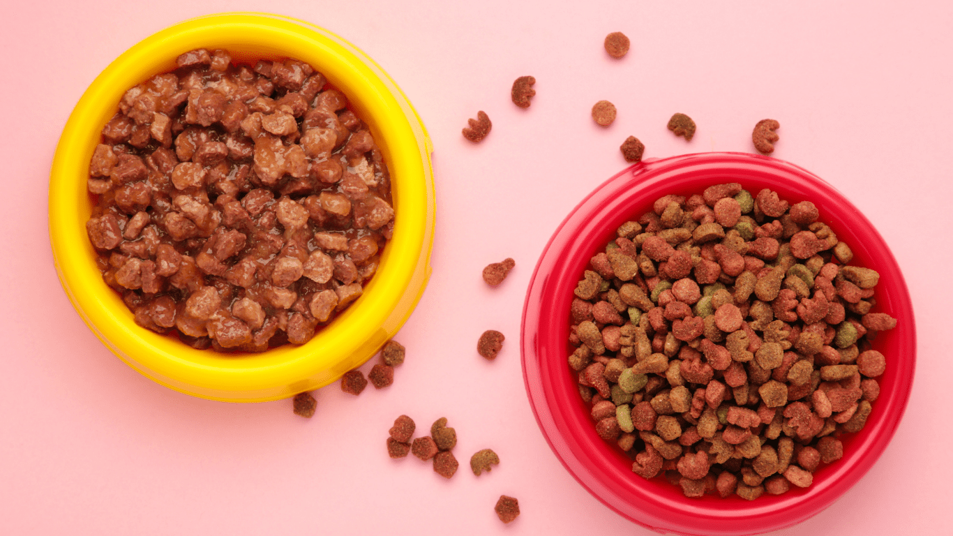Tigela com ração seca e saudável para cães e gatos, simbolizando uma alimentação equilibrada e nutritiva.