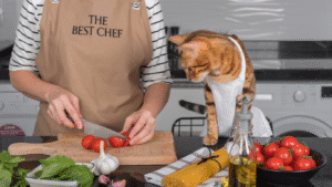 Cachorro e gato olhando curiosos para uma tigela de comida caseira saudável, com frango, legumes e arroz integral, promovendo bem-estar.