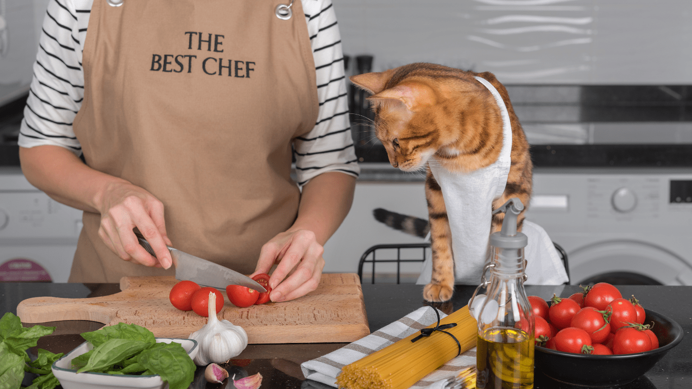 Cachorro e gato olhando curiosos para uma tigela de comida caseira saudável, com frango, legumes e arroz integral, promovendo bem-estar.