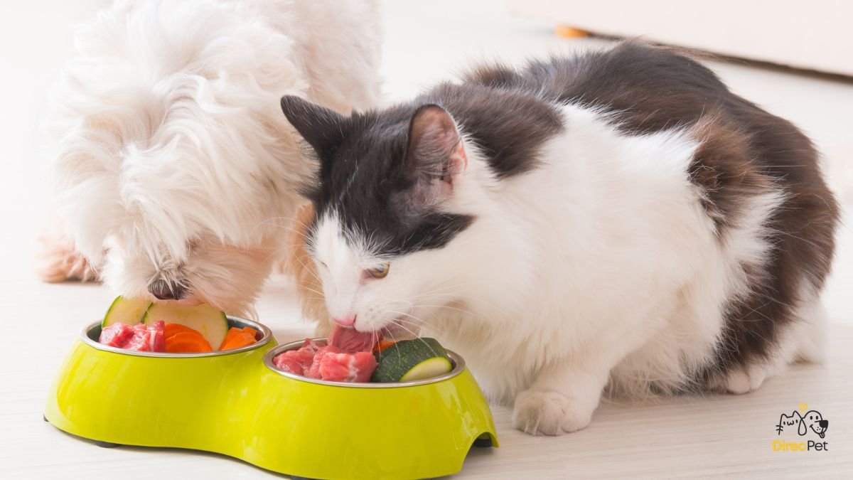  Alimentação natural para cães: o que pode e o que não pode entrar na dieta