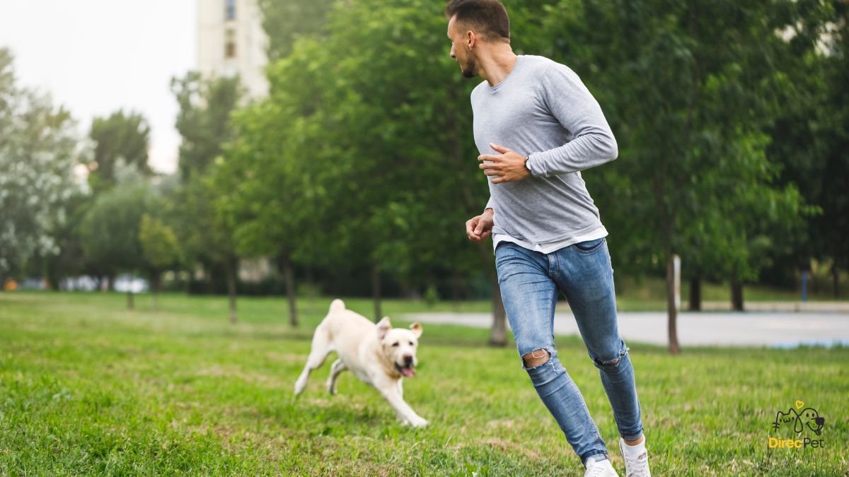 Cachorro-feliz-correndo-no-parque-com-o-tutor-sorrindo 5 sinais que mostram que seu cachorro pode estar doente (e você nem percebeu!)