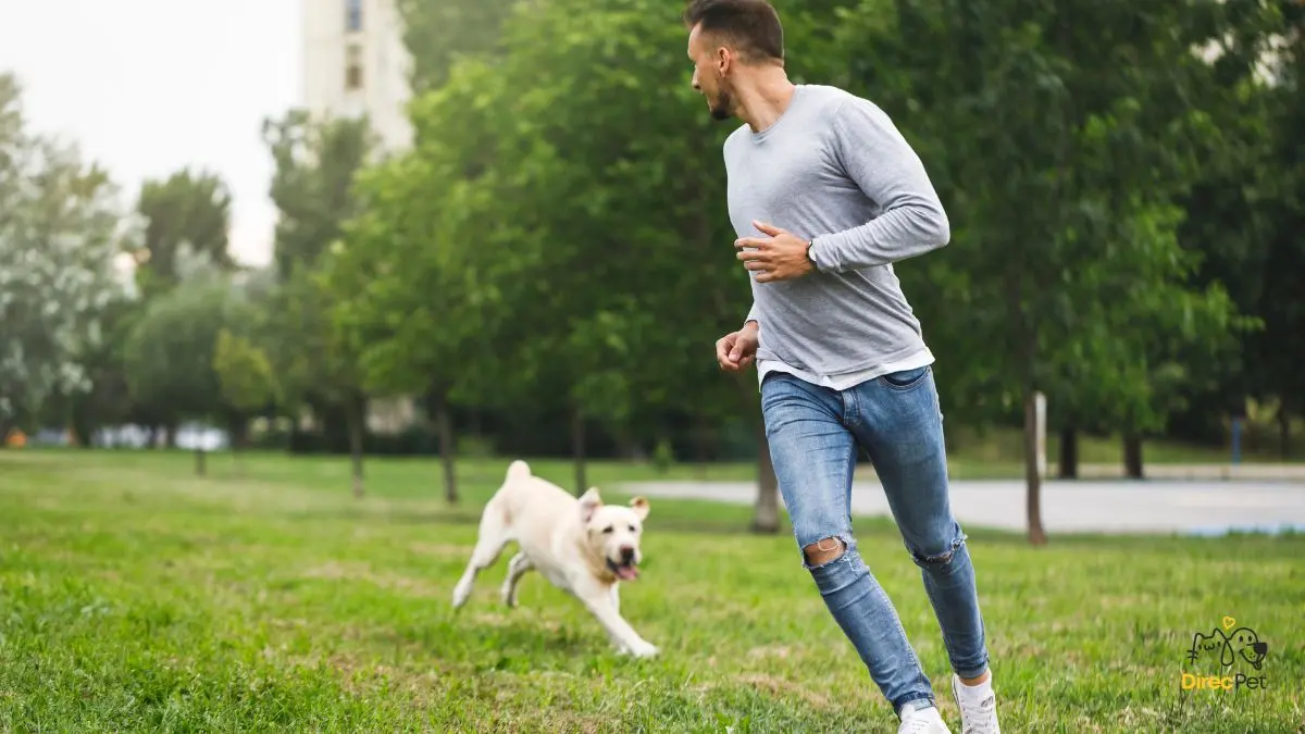Cachorro-feliz-correndo-no-parque-com-o-tutor-sorrindo 5 sinais que mostram que seu cachorro pode estar doente (e você nem percebeu!)