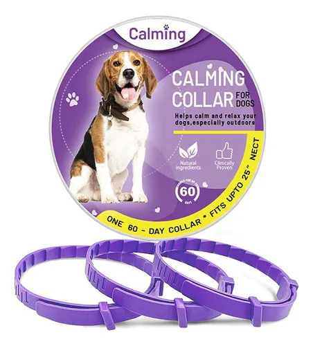 Coleira-calmante-para-caes Por que o cachorro morde o dono? Causas reais e como agir com segurança