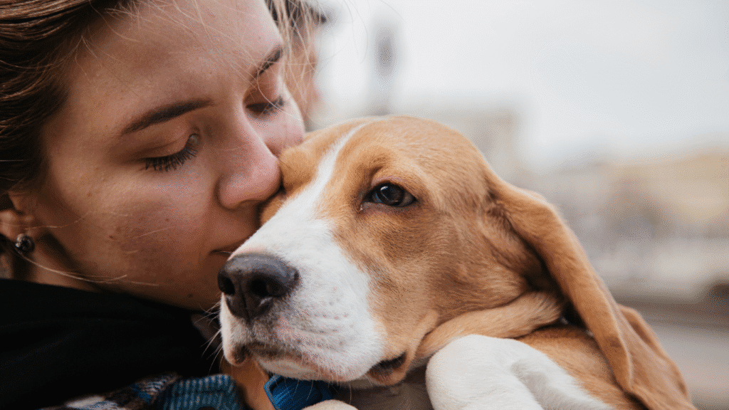 Início | Direcionar Dicas Início | Dicas de bem-estar para pets – Direcionar Dicas