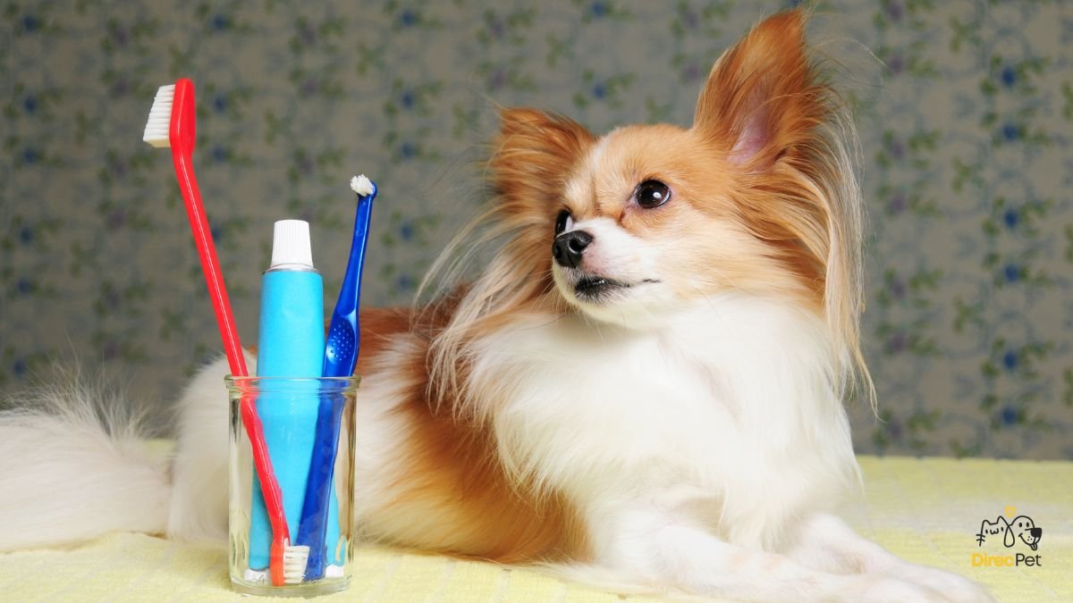 Kit-de-escova-e-pasta-dental-especificos-para-caes Como escovar os dentes do seu cachorro sem estresse