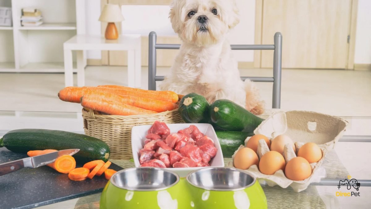  Alimentação natural para cães: o que pode e o que não pode entrar na dieta