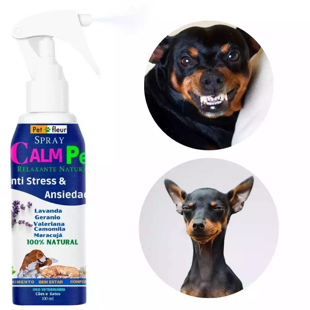 Spray-calmante-e-redutor-de-estresse-canino Por que o cachorro morde o dono? Causas reais e como agir com segurança
