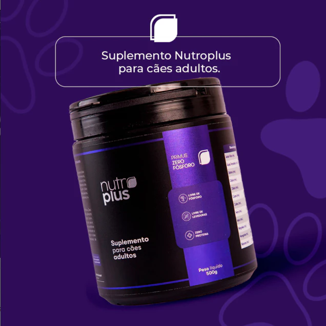  Alimentação natural para cães: o que pode e o que não pode entrar na dieta