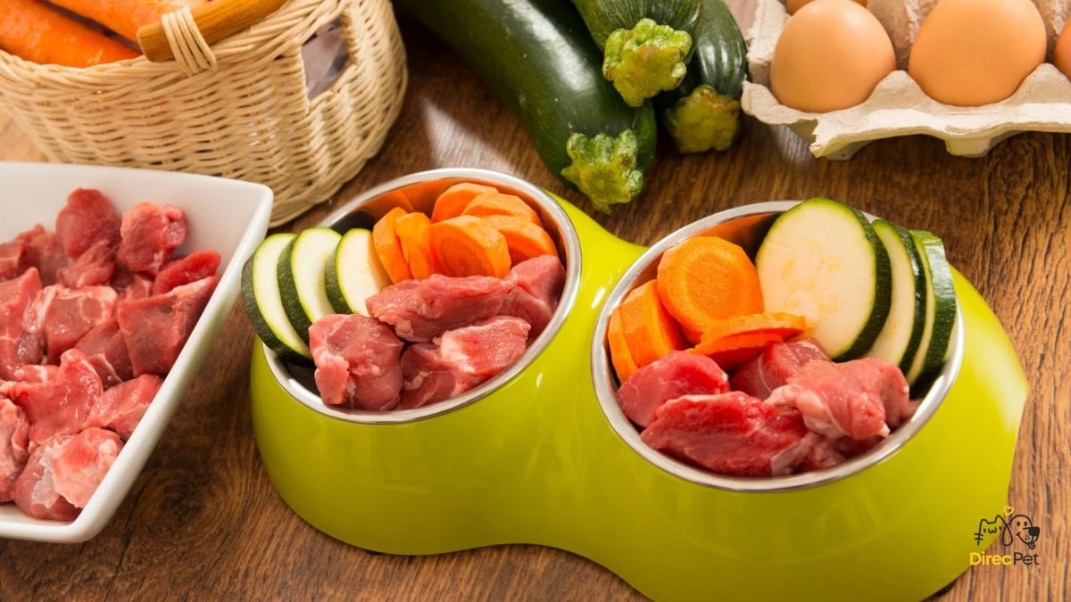  Alimentação natural para cães: o que pode e o que não pode entrar na dieta