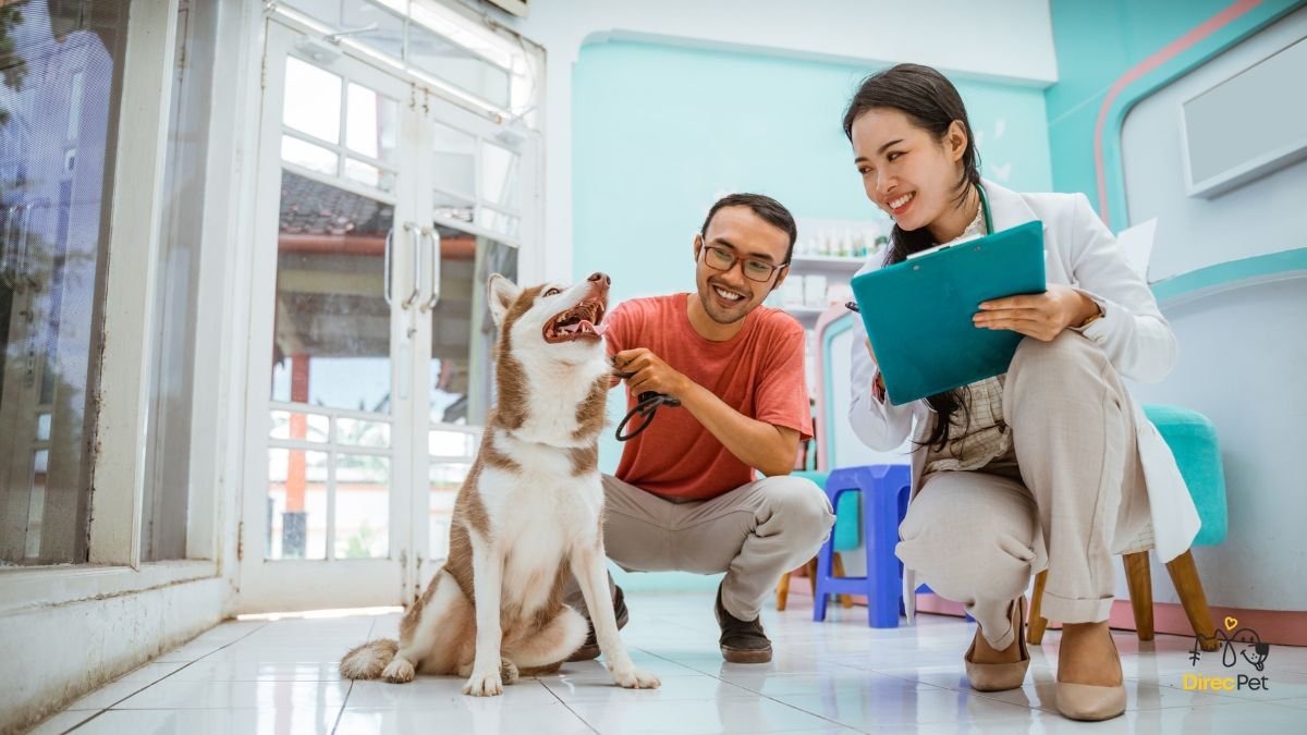 Tutor-abracando-cachorro-com-expressao-de-alivio-apos-consulta-veterinaria 5 sinais que mostram que seu cachorro pode estar doente (e você nem percebeu!)