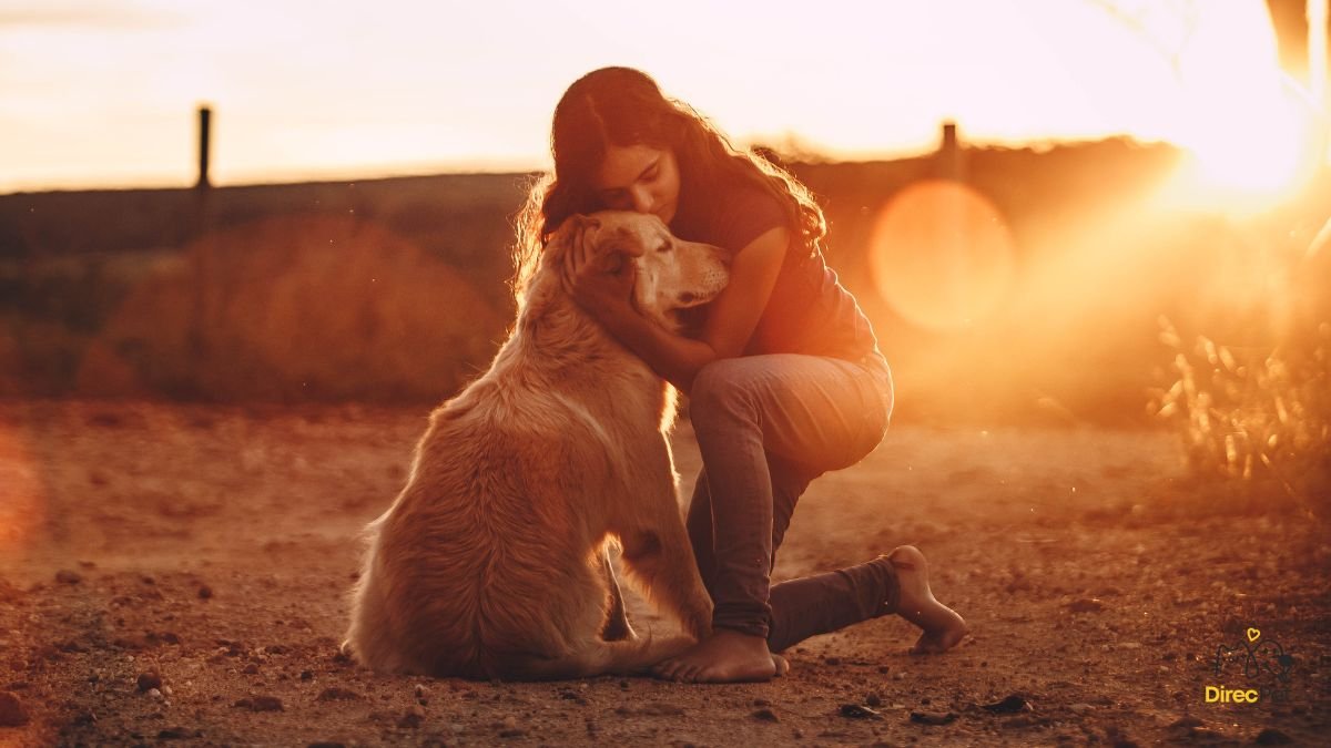 Tutor-abracando-seu-cachorro-em-um-momento-de-carinho-ao-por-do-sol 5 sinais que mostram que seu cachorro pode estar doente (e você nem percebeu!)