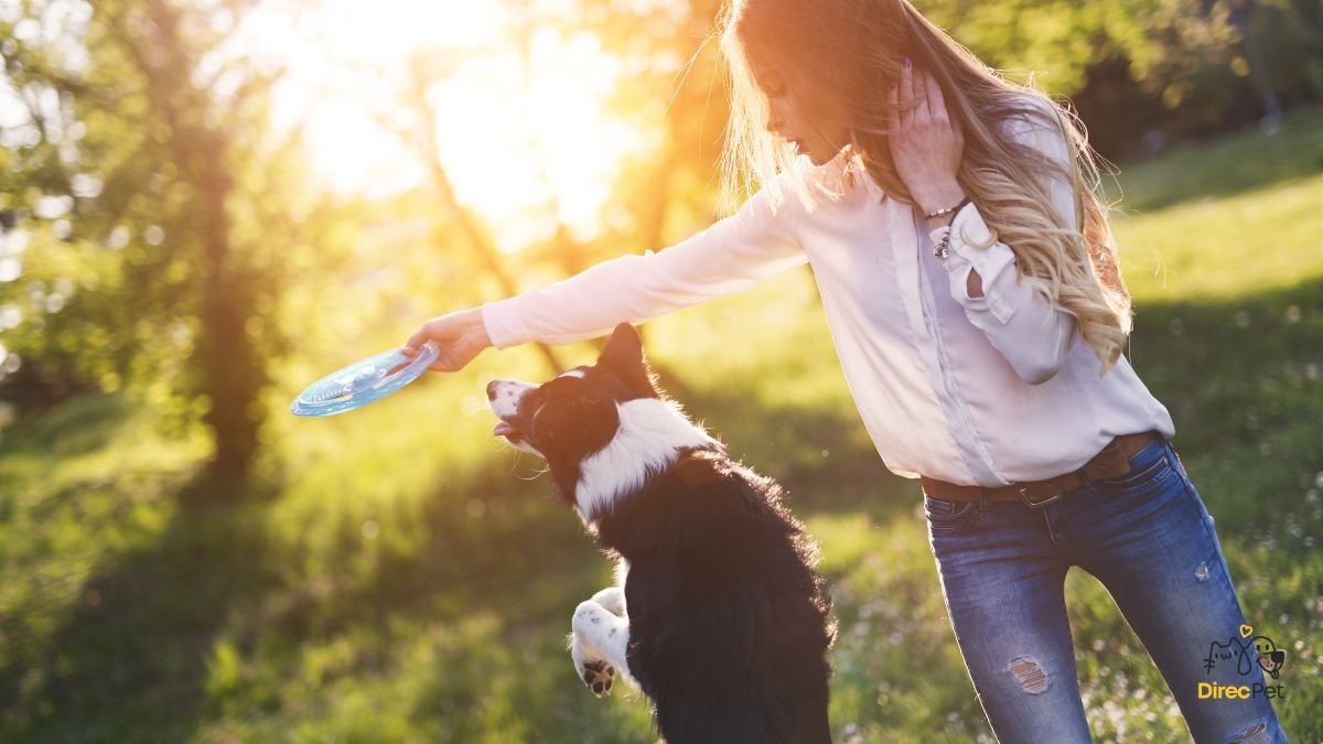 Tutor-brincando-com-cachorro-ao-ar-livre-durante-o-por-do-sol 5 sinais que mostram que seu cachorro pode estar doente (e você nem percebeu!)