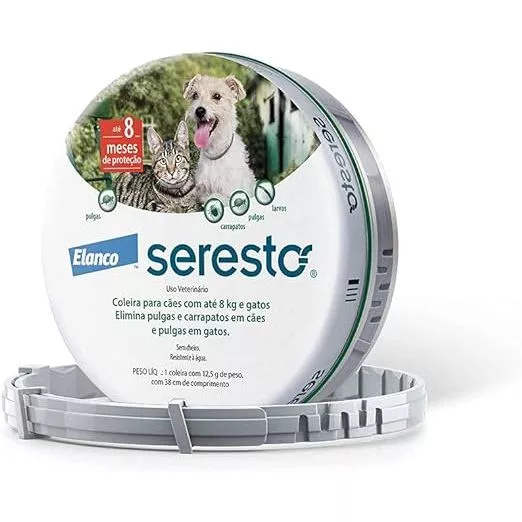 br-11134207-7r98o-lquhhrgahm31c7 5 sinais que mostram que seu cachorro pode estar doente (e você nem percebeu!)