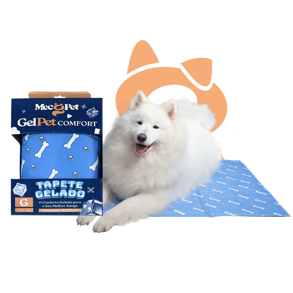 br-11134207-7r98o-m4yw3jwccp823f 5 sinais que mostram que seu cachorro pode estar doente (e você nem percebeu!)