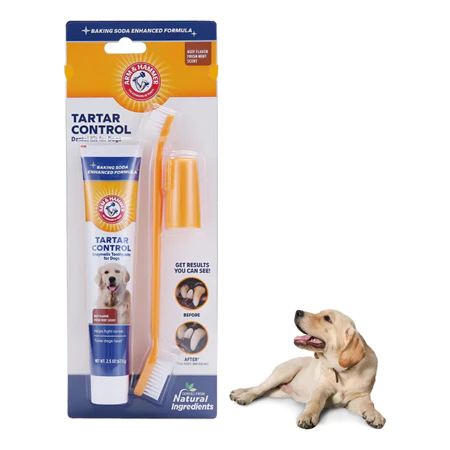 br-11134207-81z1k-meojhtafif42e5@resize_w450_nl 5 sinais que mostram que seu cachorro pode estar doente (e você nem percebeu!)