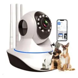 camera-de-monitoramento 5 sinais que mostram que seu cachorro pode estar doente (e você nem percebeu!)