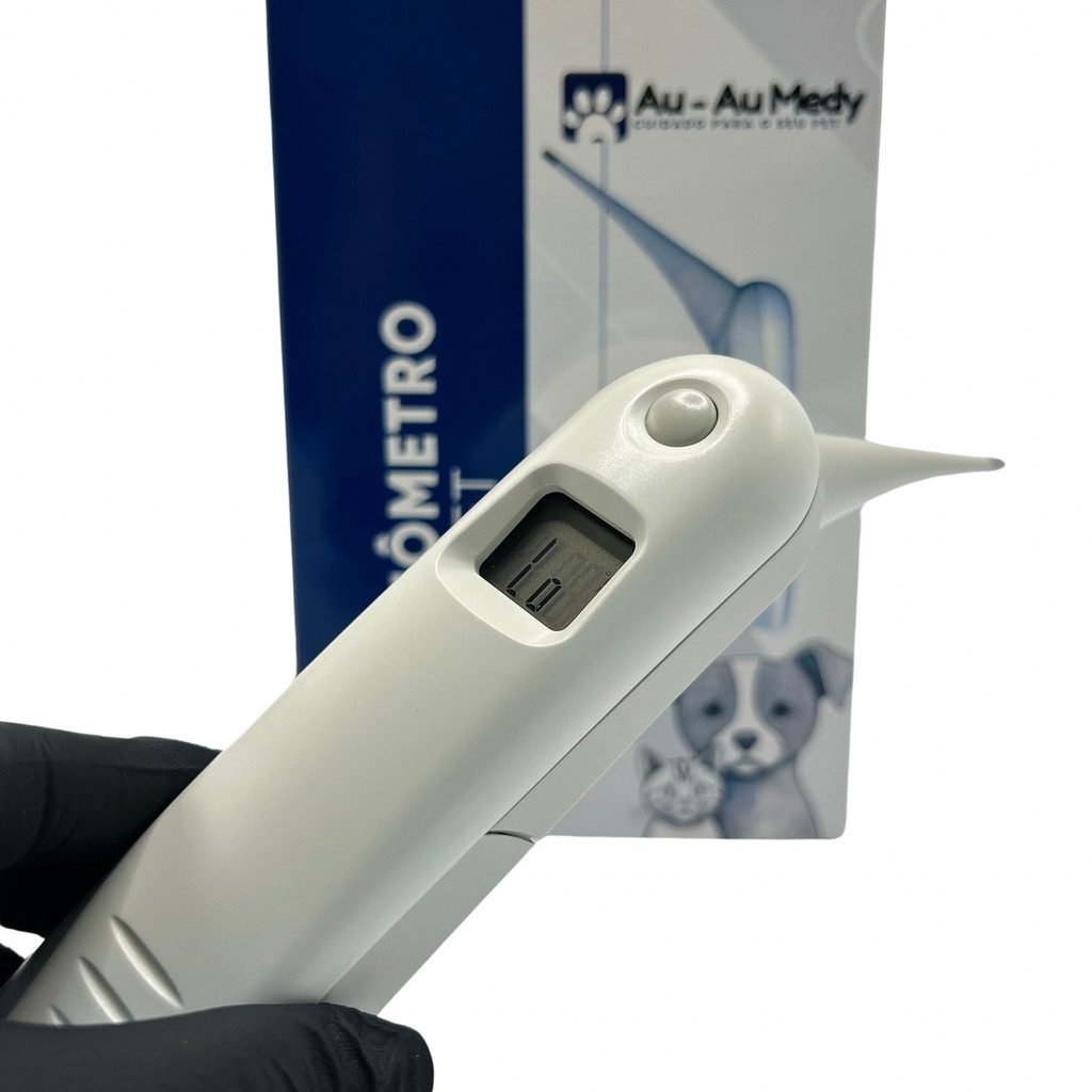  Como saber se o seu gato está com febre — truques que os veterinários usam!