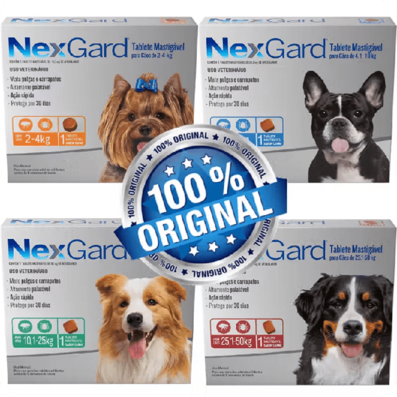 no_markReactNative-snapshot-image_9 Doença do carrapato: sintomas, tratamento e prevenção — guia completo para tutores