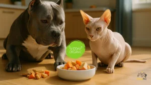 American Bully e gato Sphynx apreciando snacks naturais para pets sobre a mesa