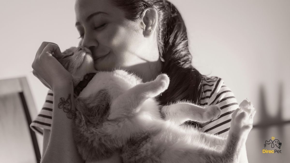 Gatos realmente amam seus donos? A resposta da ciência vai te surpreender 🧠🐱 | Direcionar Dicas Gatos realmente amam seus donos? A resposta da ciência vai te surpreender 🧠🐱 | Dicas de bem-estar para pets – Direcionar Dicas