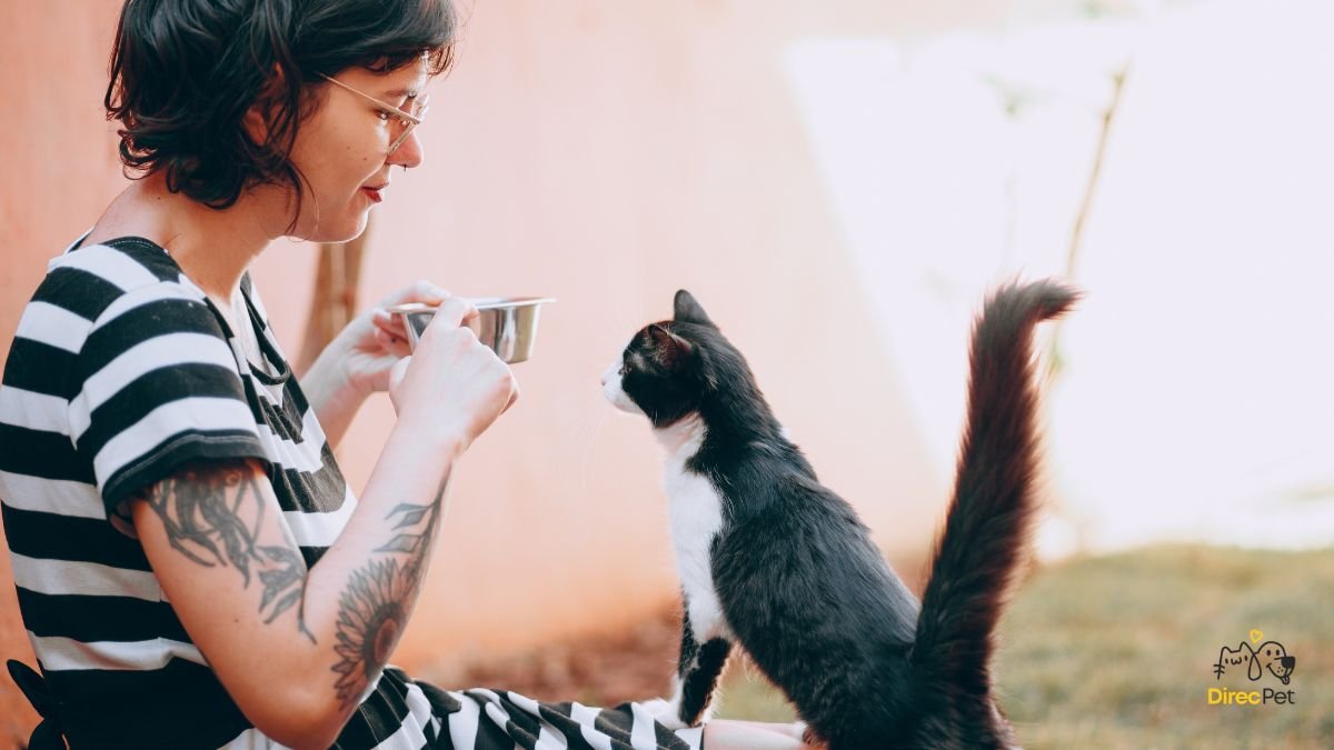 Gatos realmente amam seus donos? A resposta da ciência vai te surpreender 🧠🐱 | Direcionar Dicas Gatos realmente amam seus donos? A resposta da ciência vai te surpreender 🧠🐱 | Dicas de bem-estar para pets – Direcionar Dicas