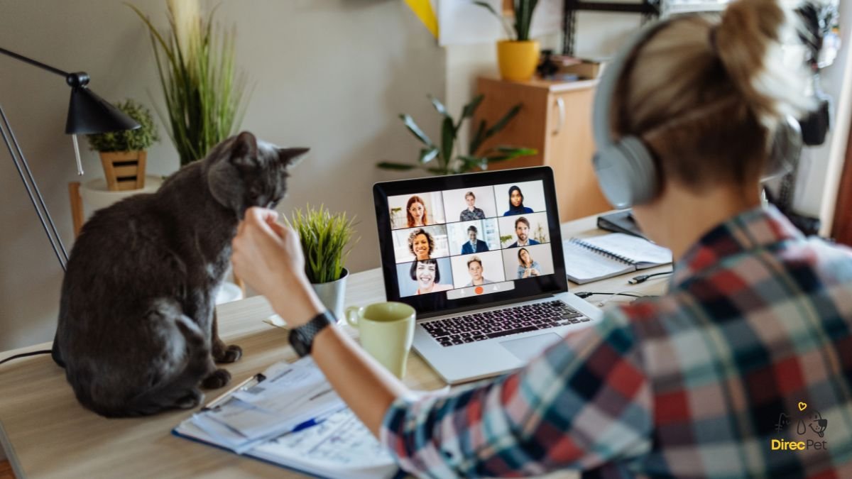 Gatos realmente amam seus donos? A resposta da ciência vai te surpreender 🧠🐱 | Direcionar Dicas Gatos realmente amam seus donos? A resposta da ciência vai te surpreender 🧠🐱 | Dicas de bem-estar para pets – Direcionar Dicas