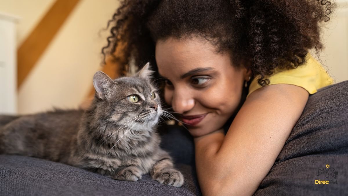 Gato demonstrando amor pelo dono