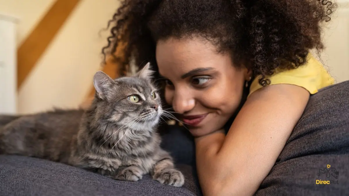 Gato demonstrando amor pelo dono