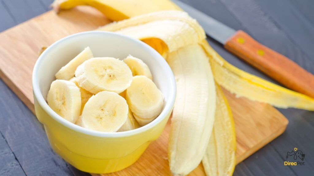 🐾 5 Snacks Naturais para Substituir Petiscos Industriais – Seu Pet Vai Amar! | Direcionar Dicas 🐾 5 Snacks Naturais para Substituir Petiscos Industriais – Seu Pet Vai Amar! | Dicas de bem-estar para pets – Direcionar Dicas