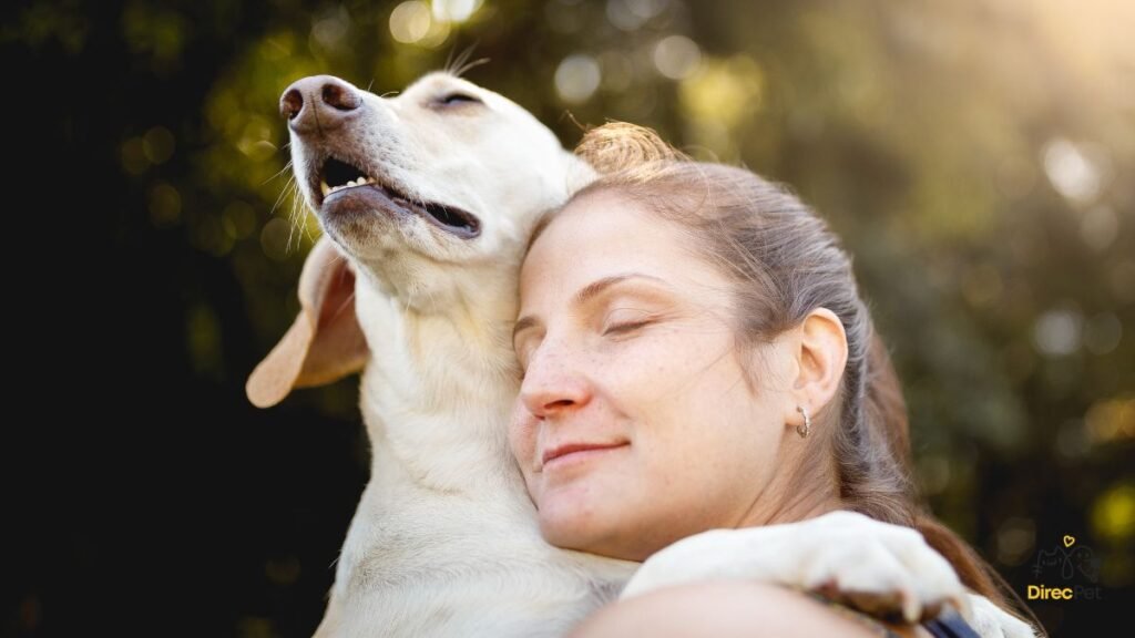 🐶 Cães podem auxiliar na detecção de doenças como câncer, Parkinson e Alzheimer através do faro | Direcionar Dicas 🐶 Cães podem auxiliar na detecção de doenças como câncer, Parkinson e Alzheimer através do faro | Dicas de bem-estar para pets – Direcionar Dicas