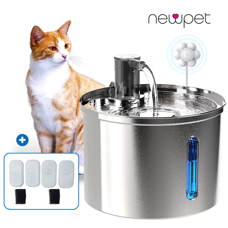 sg-11134201-7rdvk-lzh56veuyqdj96 5 sinais que mostram que seu cachorro pode estar doente (e você nem percebeu!)