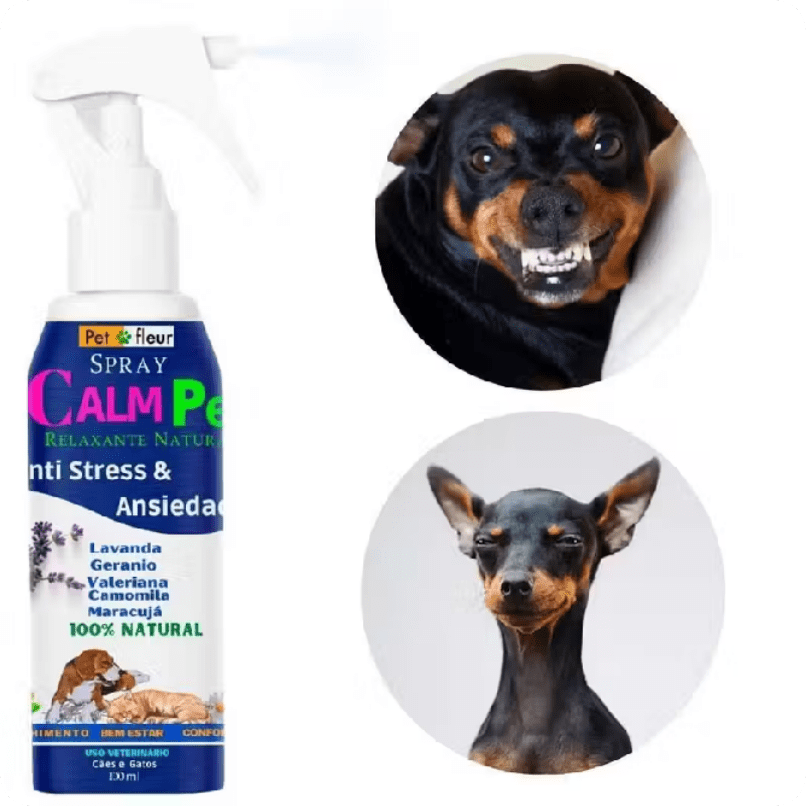 Spray-Calmante-Natural Cachorro destruindo tudo em casa? Descubra como acabar com isso rápido!
