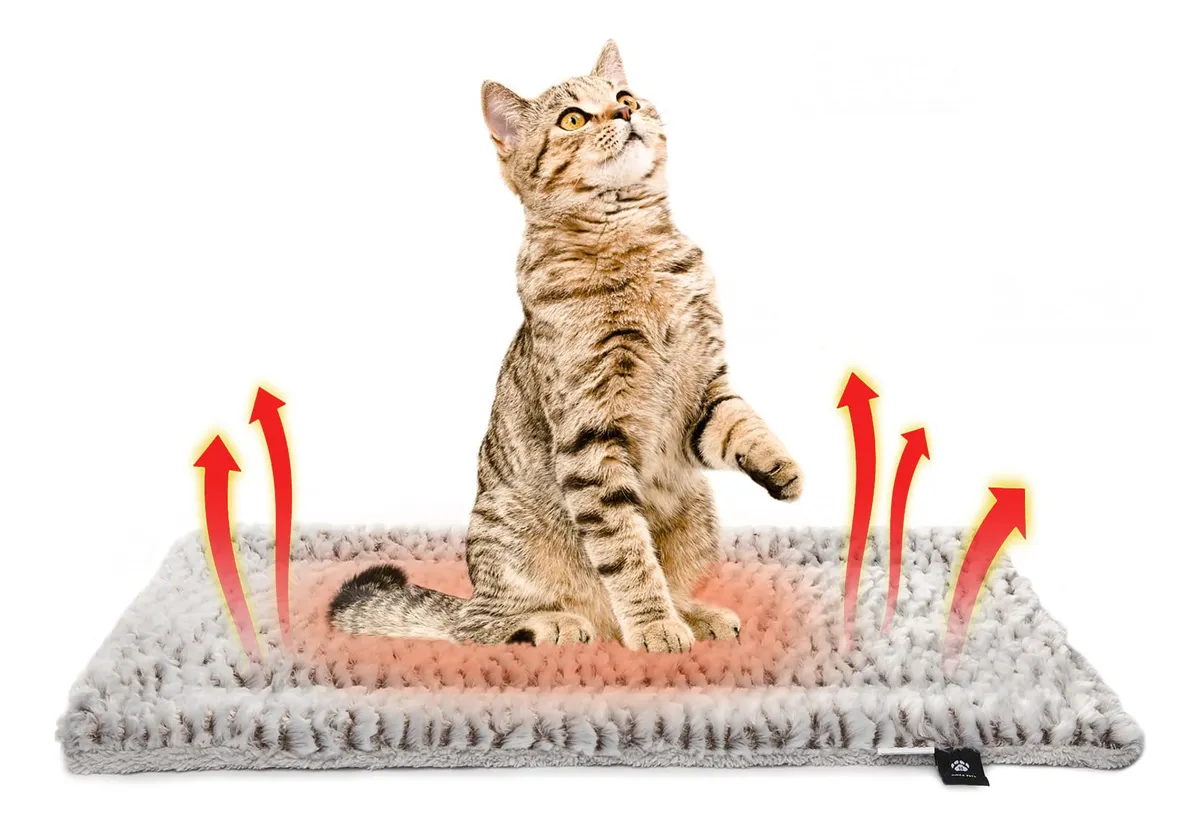 Tapete-Termico-Autoaquecido-Para-Gatos Pequenas mudanças que deixam o seu gato mais feliz dentro de casa