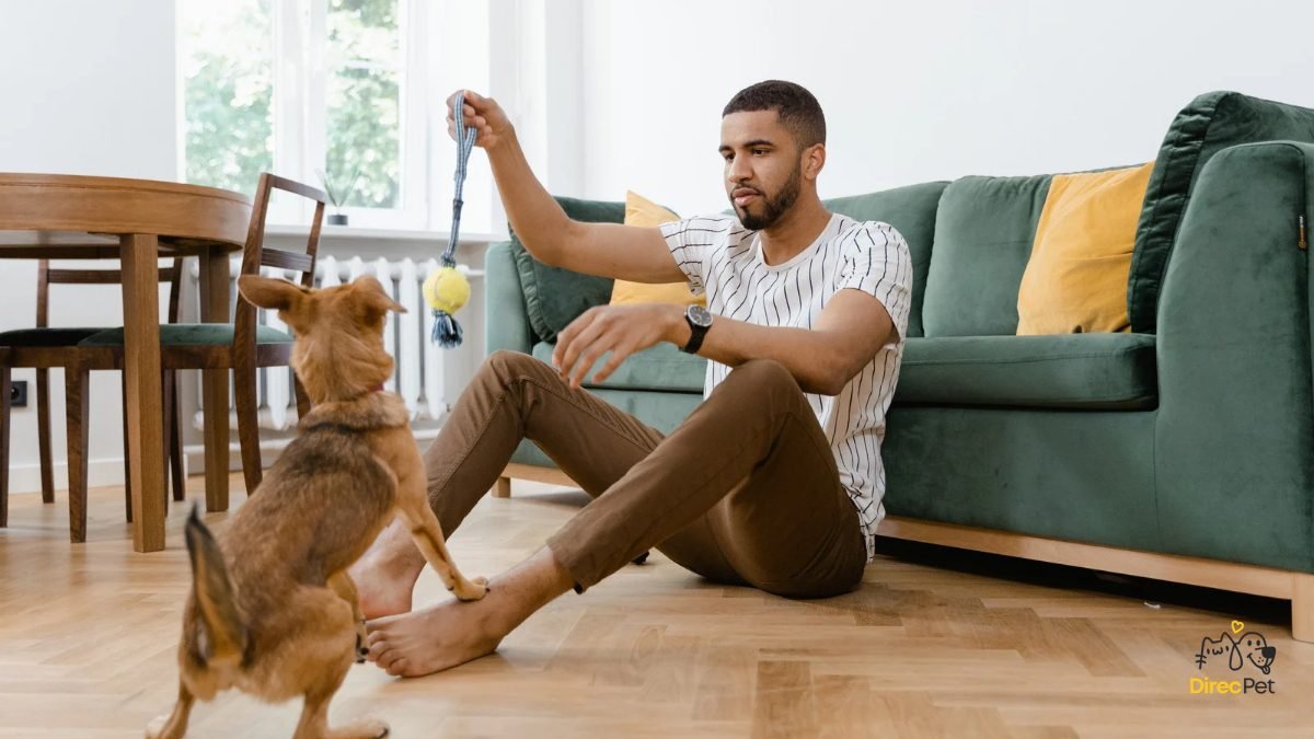 Tutor-brincando-com-cachorro-antes-da-refeicao Por que os cães param de comer?