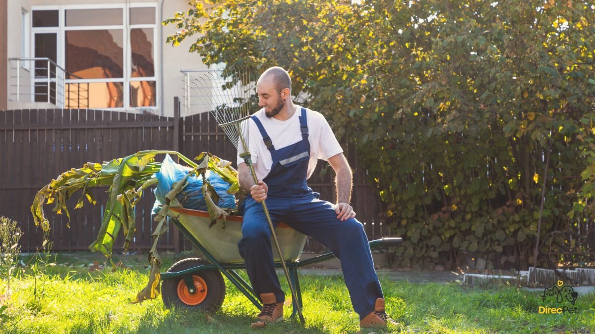 Tutor-limpando-quintal A vacina contra leishmaniose realmente protege o seu cachorro?