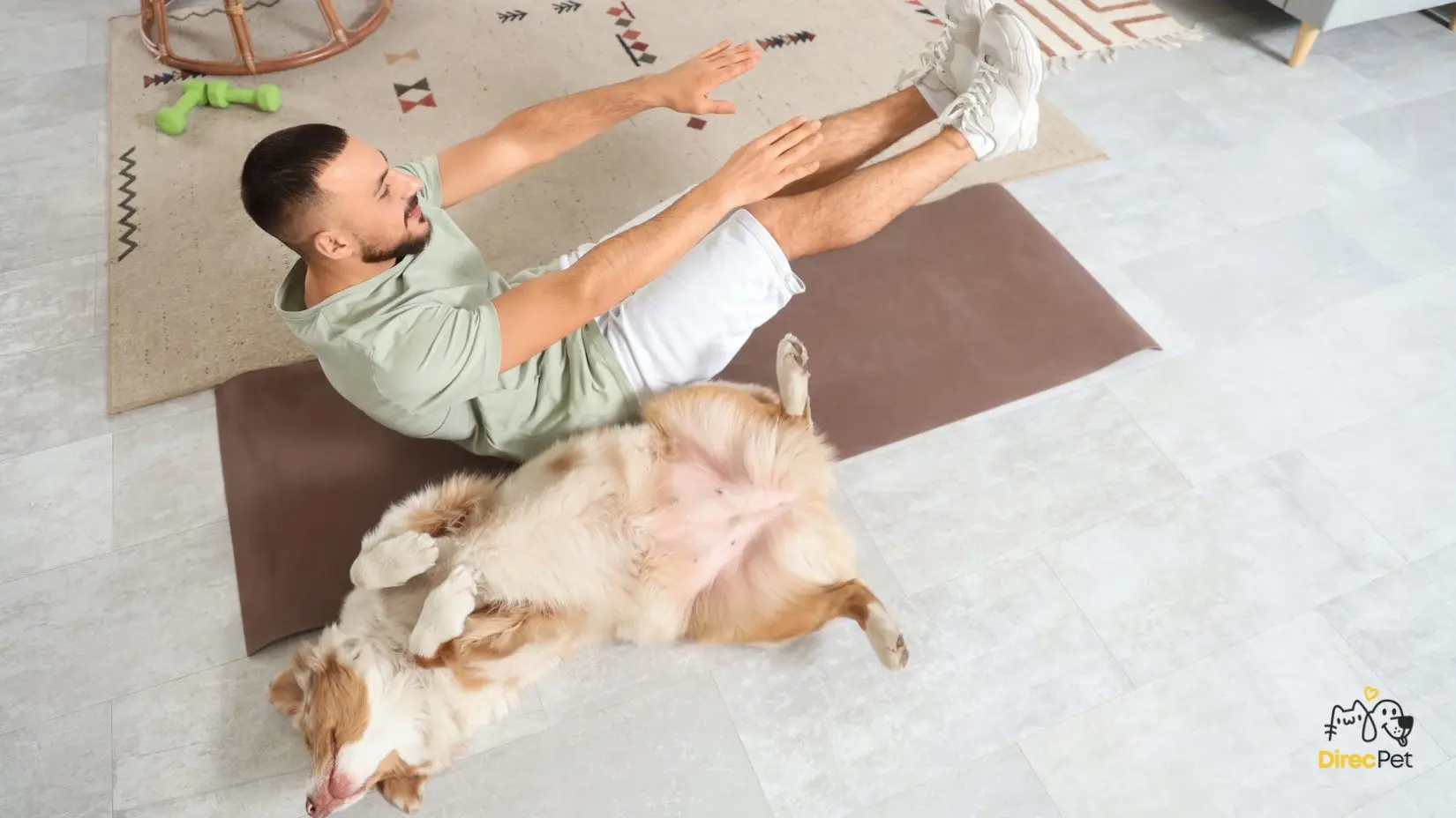 cao-em-tapete-de-base-segura Cachorro destruindo tudo em casa? Descubra como acabar com isso rápido!