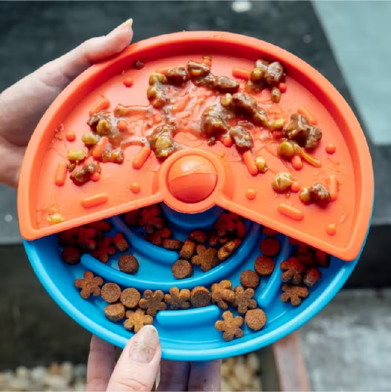 no_markReactNative-snapshot-image_3 A vacina contra leishmaniose realmente protege o seu cachorro?