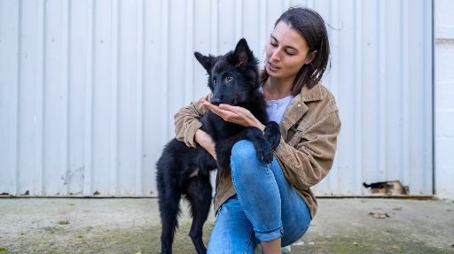Cadela-no-cio-sendo-observada-pela-tutora Como saber se a cadela está no cio: sinais, cuidados e o que evitar