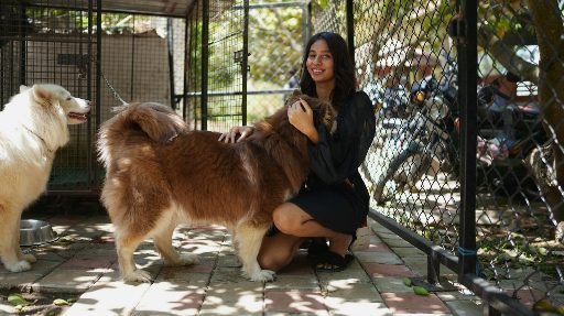 Tutora-fazendo-carinho-em-cadela-apos-o-cio Como saber se a cadela está no cio: sinais, cuidados e o que evitar